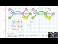 Connectivity Matrices 2