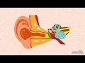 Why do we have earwax - Curious Questions with Answers Kids Education by Mocomi
