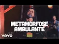 Download Lagu Maneva - Metamorfose Ambulante (Ao Vivo Em São Paulo / 2020)