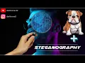 Steganography In Kali Linux How TO Hide Data in an image Steghide Tutorial