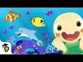 Download Lagu Learn about Sea Animals | Ocean Animal Compilation | Kids Cartoon | Dr. Panda TotoTime Season 2