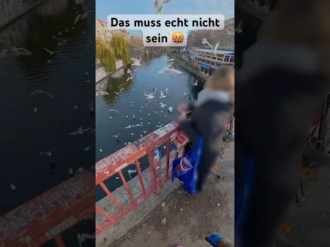 Möwen füttern verboten! 🚫 #gebrüderlange #magnetfischen #verboten