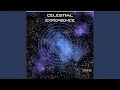 Celestial Experience