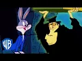 Download Lagu Looney Tunes | Hocus Pocus Hare | WB Kids
