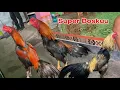 Download Lagu Spesial hari selasa keliwon dipasar Bekonang full bagusan super bosku bikin ngiler
