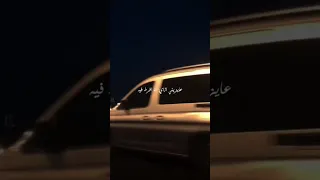 عايزنى ازاى انا افرط فيه محمود العسيلى العسيلى اغاني 