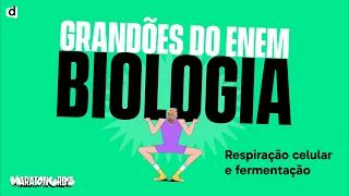 Respiração Celular e Fermentação - Resumo | Biologia