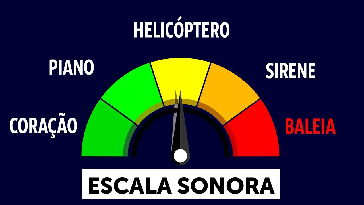 Todos Os Sons Do Universo, do Mais Silencioso ao Mais Alto