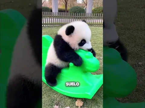 ¡PARECEN PELUCHES PERO TE PUEDEN DESTRUIR! Los 3 Animales Más Engañosos 🦫😱#curiosidades