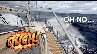 NOW THAT WAS RUFF! And Pemba island festivities / Sailing Aquarius #114