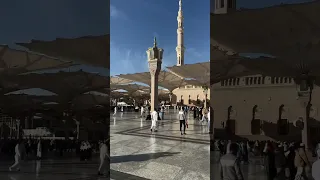 عشك نبي الهادي سلب عكلي وفؤادي صلو على الحبيب محمد ريلز 