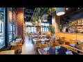 Andros Taverna Testimonial Chicago 2024