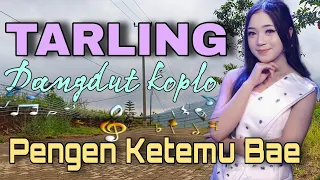 tarling dangdut koplo pengen ketemu bae suara super merdu