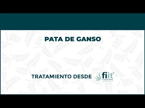 Tendinitis de Pata de Ganso Tratamiento de Fisioterapia - FisioClinics Logroño