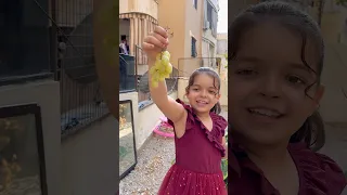 شجرة العنب المخيفة        الخال دندنها