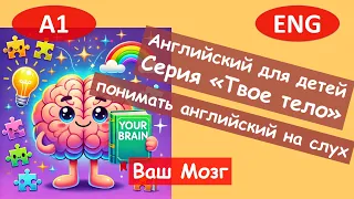 6 Ваш Мозг. Английский для начинающих. (А1).