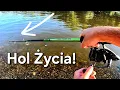 Download Lagu Najsilniejsza Ryba jaką Miałem na Kiju! Wisła Odpaliła! Wędkarstwo klasyczny rzeczny feeder!