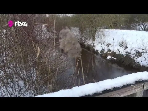Sfeerbeelden van de natuur in wintertijd