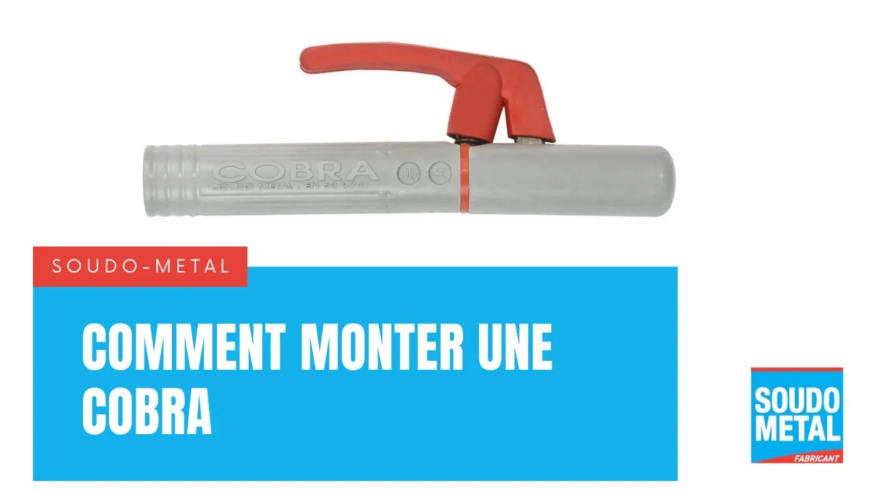 Porte électrodes à pince 300 Amp - COBRA