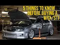 5 Things You Need to Know Before Buying a Subaru WRX or STI