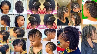 Natural Hair Twist Styles Twist Hairstyles for Natural