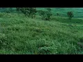 Number_i - 未確認領域(U.M.A.) [Trailer "M."]