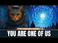 12 Signs You Are a Lyran Starseed