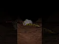 The Sewers