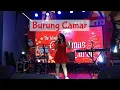 Lagu Burung Camar - Vina Panduwinata | live performance at Cartenz Mal