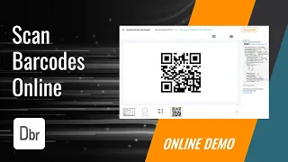 Online Barcode and QR Code Scanning with Dynamsoft Barcode Reader Online Demo