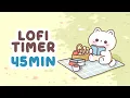45 Minute Timer Study Timer for Classroom Focus