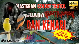 Download Masteran Cendet Suara Kenari Sambung Kuntilanak Jernih MP3