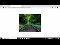 Image split hover effect with social media icon using CSS