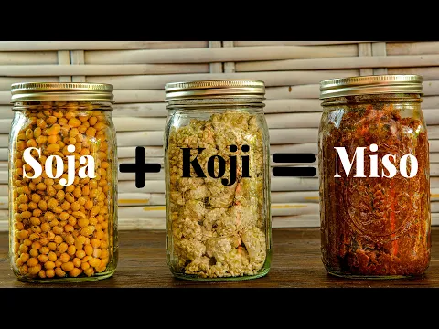 Download MP3 Miso selber machen - Fermentieren mit Koji