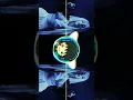 Download Lagu Into Your Arms | Bass Boosted | Witt Lowry \u0026 Ava Max | (CADU! Remix)#WittLowry #AvaMax #IntoYourArms