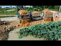 Lagu Wonderful Processing Teams Dump Truck Push Stone Into Pond Best Action Bulldozer Komatsu Landfilling