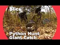 The Hunt for the Giant Python Successful Catch with the Help of Elder Magicians SLICE
