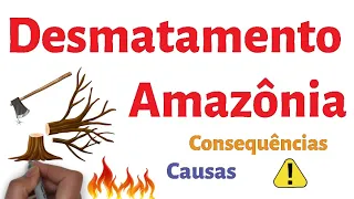 Causas e Consequências do Desmatamento na Amazônia