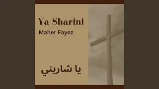 ياللي حو لت المرارة دندنها