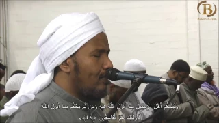 قراءة من سورة المائدة للقارئ الشيخ عبدالرشيد صوفي برواية السوسي عن أبي عمرو 