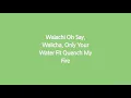 Wizkid - Fever (Lyrics)