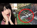 Emiru Reacts to Backyard Squirrel Maze 1 0 - Ninja Warrior Course by Mark Rober
