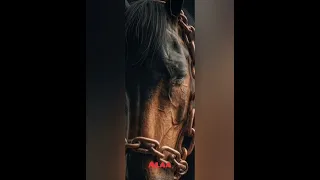 أحسنت ياصديق أن تحملت يوما آخر   دعوة أهلي علاء فراج   حاتم الوكيل                 دندنها