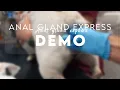 Bully Anal Gland Express Demo Dr Kraemer Vet4Bulldog Including Preventive Anal Gland Health Chew