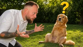 4 Weird Dog Behaviours Explained