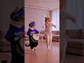 Download Lagu Tang Ting Tung #cat #kucing #kucingjoget #tangtingtung #kucinglucu #kucingjoged #shorts #shortvideo