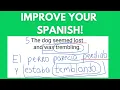 Practice Spanish Preterite Imperfect With Me 30-Minute Intermediate Session