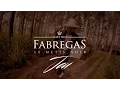 Lagu Fabregas Le Métis Noir - Jeu