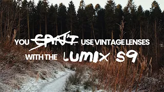 Winter the LUMIX S9 Four Vintage M42 Lenses