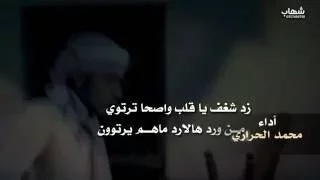 شيلة غزلية   زد شغف يا قلبي    كلمات على بن راعية    اداء المنشد   محمد الحرازي        دندنها